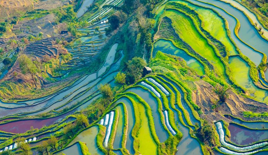宝妈必备神器：台安县产品视频拍摄轻松育儿好帮手